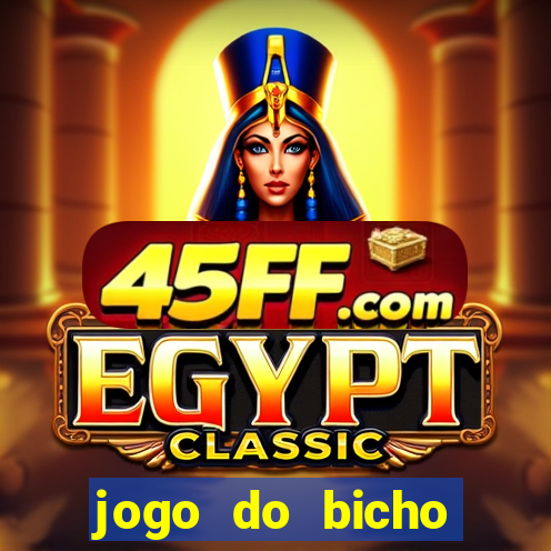 jogo do bicho tipos de apostas